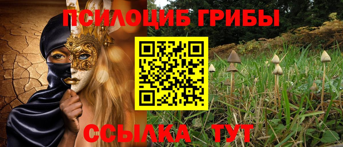 Галлюциногенные грибы Cubensis  как найти наркотики  Всеволожск  Вход с VPN 